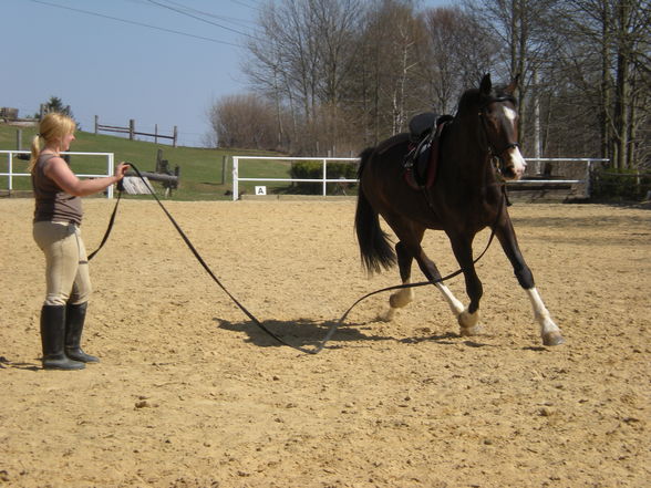 mein neues pferd!!! - 