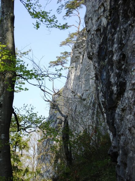 Climbing FrankenFels 2008 - 