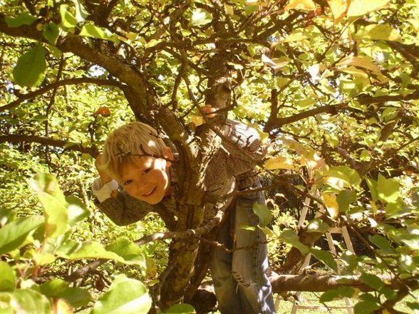 im Garten mit meinem kleinen Spatz... - 