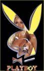 playboy - 