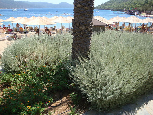 Türkei, Bodrum 09 - 