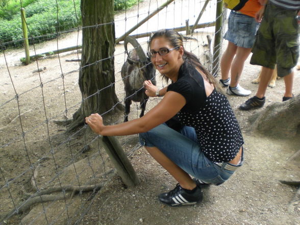 Tierpark Stadt Haag - 