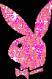 Playboybunnies - 