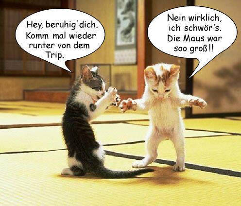 was zum lachen - 