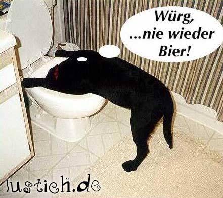 was zum lachen - 