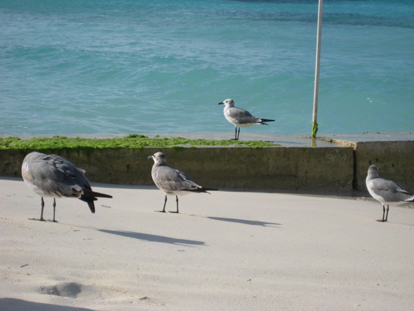 Cancun - Mexiko - 