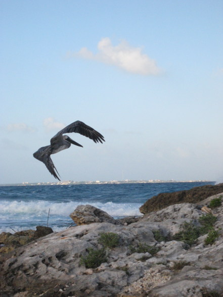 Cancun - Mexiko - 