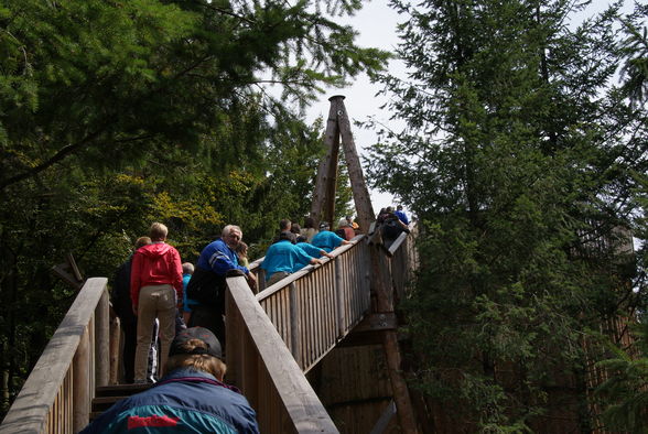 Baumkronenweg Kopfing - 