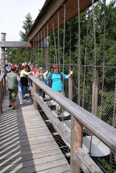 Baumkronenweg Kopfing - 