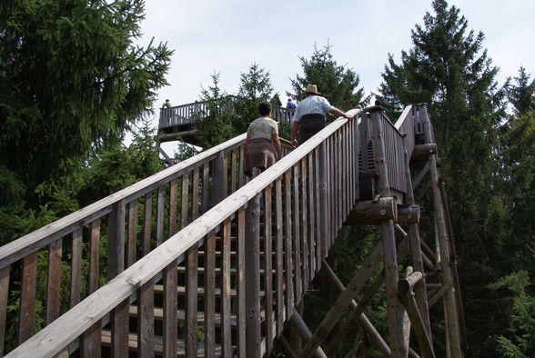 Baumkronenweg Kopfing - 