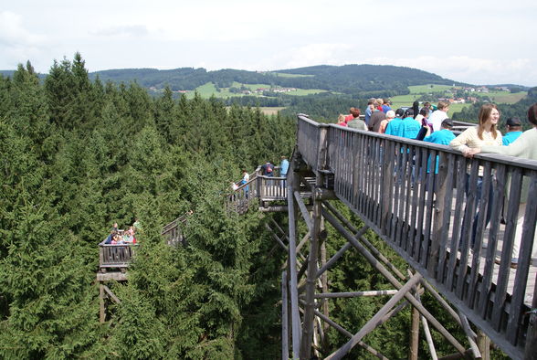 Baumkronenweg Kopfing - 