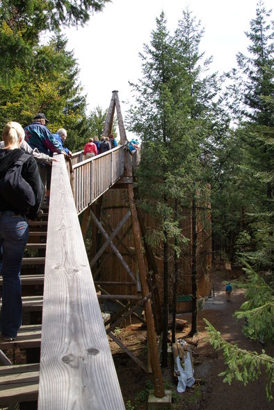 Baumkronenweg Kopfing - 