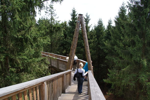 Baumkronenweg Kopfing - 