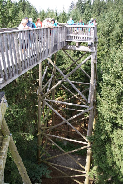 Baumkronenweg Kopfing - 