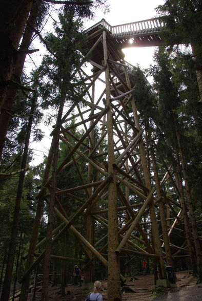 Baumkronenweg Kopfing - 