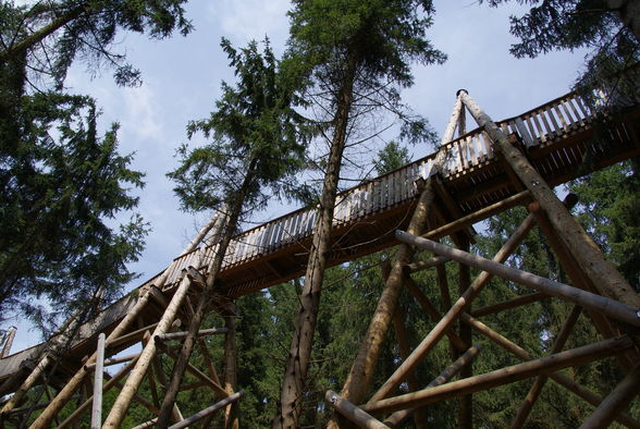 Baumkronenweg Kopfing - 