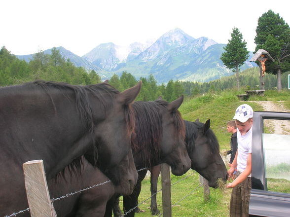 URLAUB..........kärnten 2009 - 