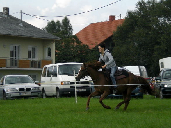 Horse riding - 