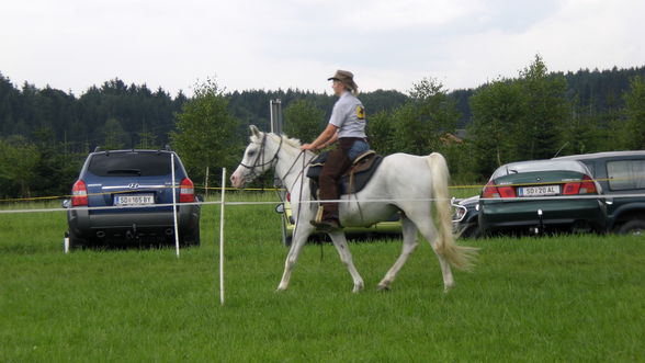 Horse riding - 