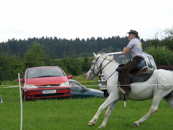 Horse riding - 