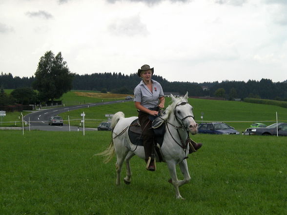 Horse riding - 