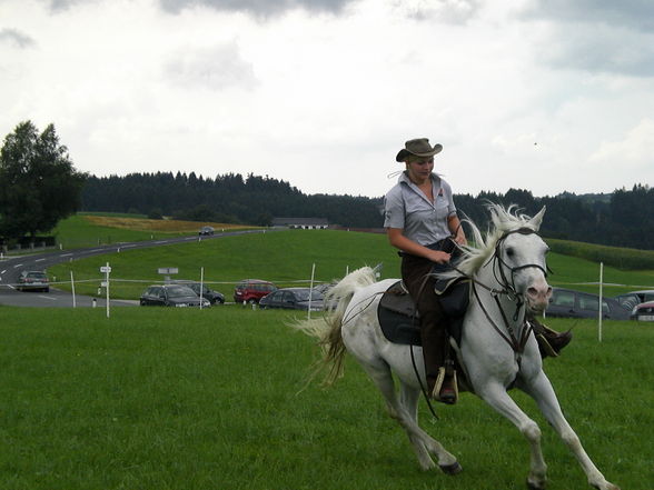 Horse riding - 