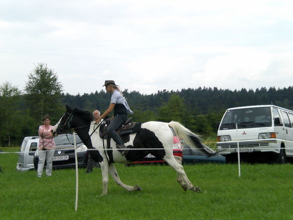 Horse riding - 