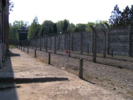 Krakau und KZ Auschwitz - 