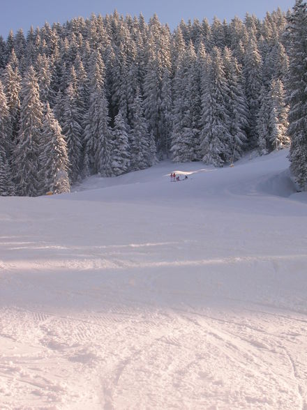 Skitourenwoch Tirol - 