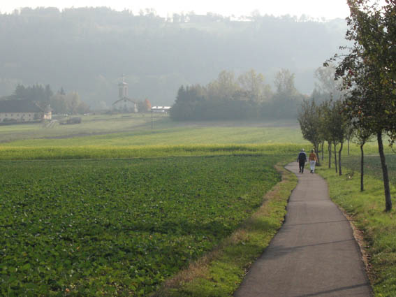 Herbstimpressionen - 