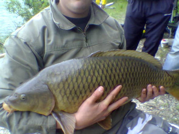 Fischen 2006 - 