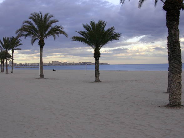 Alicante - 