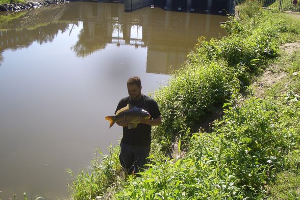 immer schön fischig fischn - 