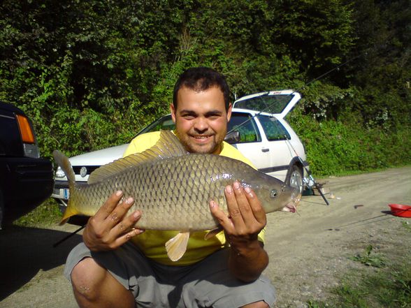 immer schön fischig fischn - 