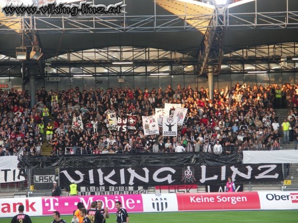 Lask Linz VS. Bullenschweine - 