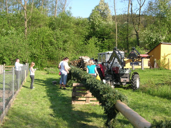 Maibaumaufstellen - 