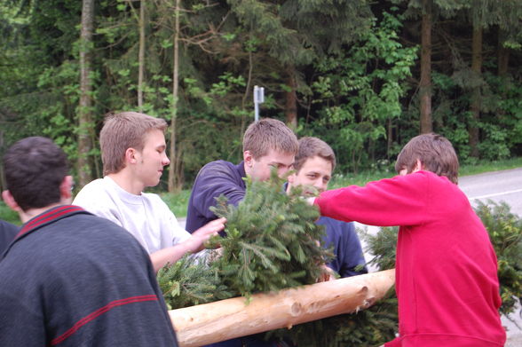 Maibaum aufstellen - 