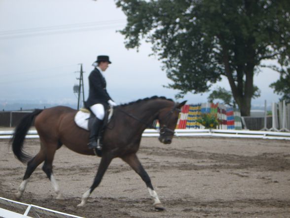 Mostviertel cup Schlögelhofer - 