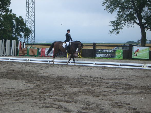 Mostviertel cup Schlögelhofer - 