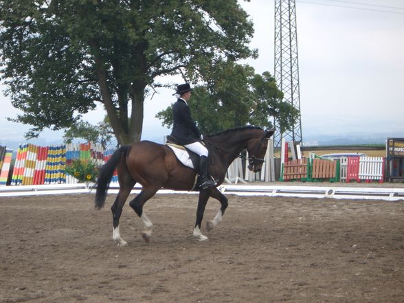 Mostviertel cup Schlögelhofer - 