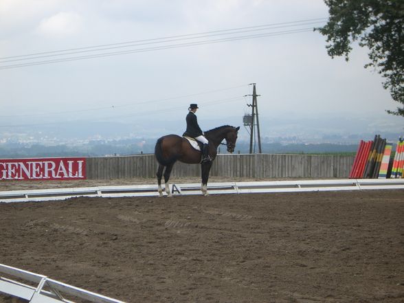 Mostviertel cup Schlögelhofer - 