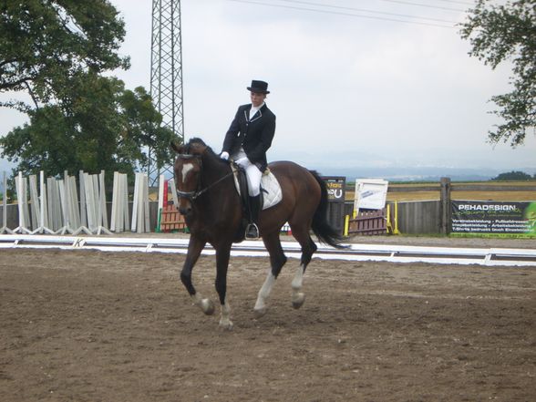 Mostviertel cup Schlögelhofer - 