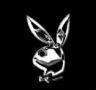 >*PlayboybunnY*< - 