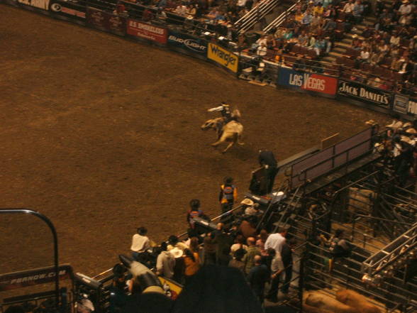 Bullriding - 