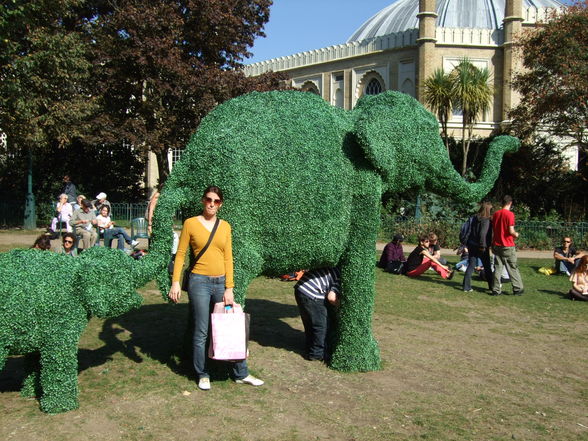 Brighton - London 2008 - 