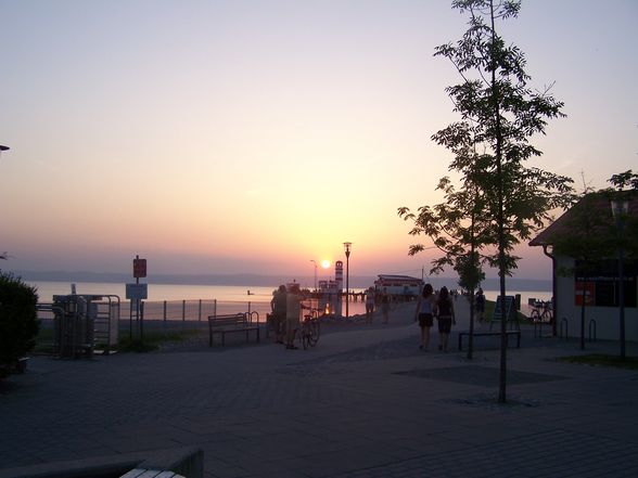 Podersdorf 08 - 