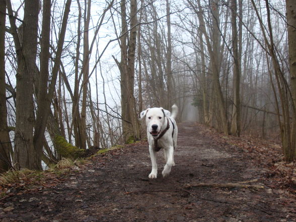 mijn Wuff & Maunz's   : ) - 