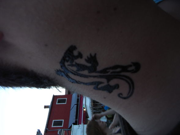Holidays 2009 - 