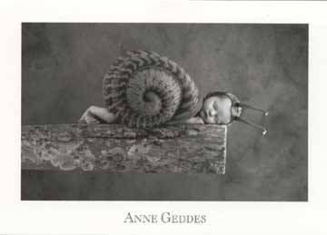 Anne Geddes - 