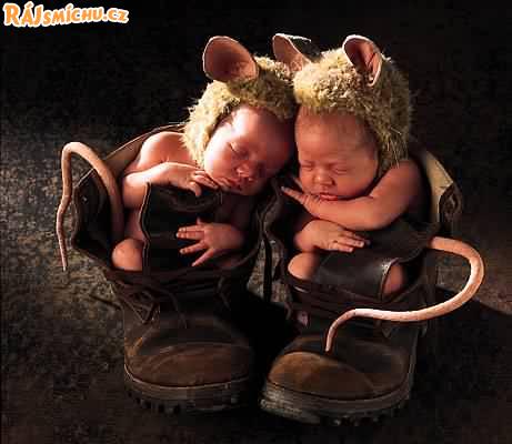 Anne Geddes - 